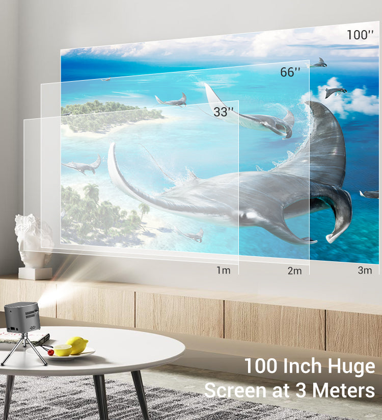 D048C  mini Portable Projector